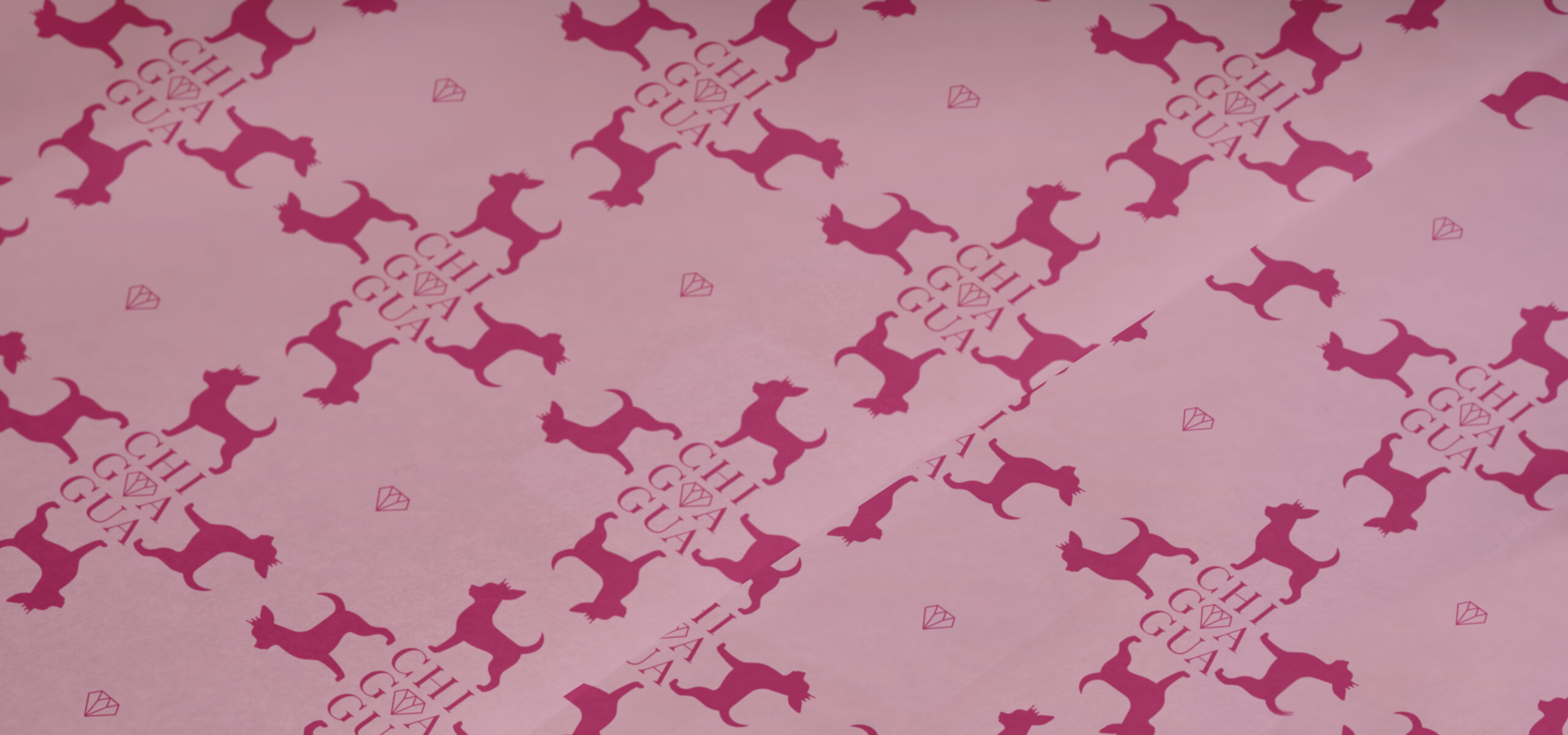 Chiguagua papel ok