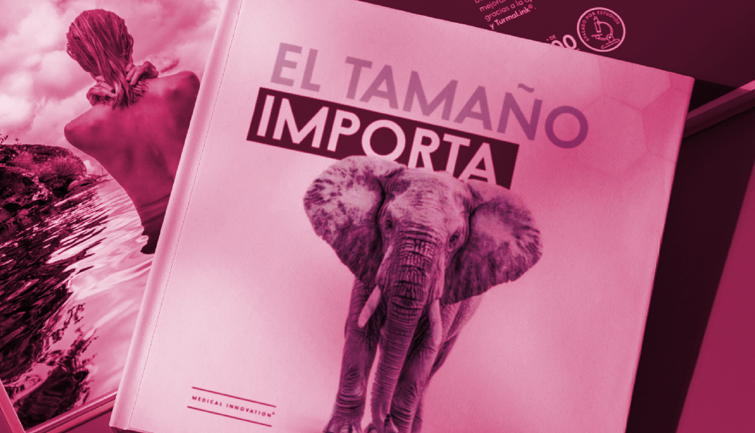proyecto_IL
