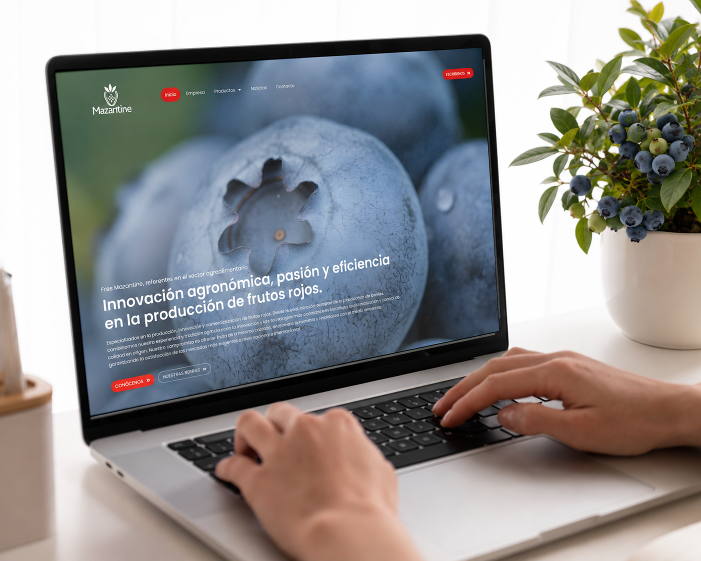 Web corporativa Mazantine